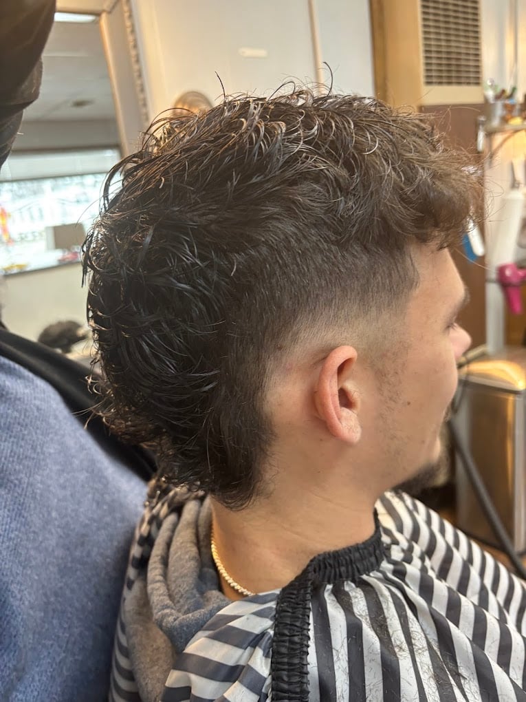 Curly fade haircut - Grandville Barbershop